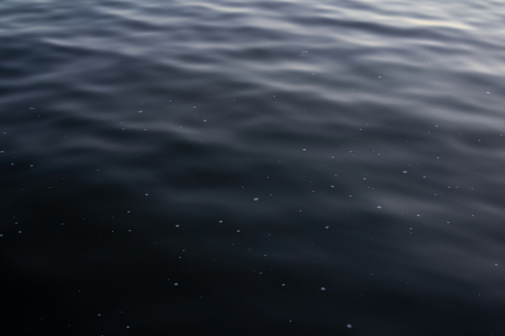 Rippling and udulated wavy water surface of dirty water